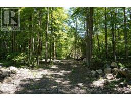 382488 17 CONCESSION ROAD - 41