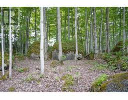 382488 17 CONCESSION ROAD - 44