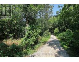 PH2 - 55 BLUE SPRINGS DRIVE - 47