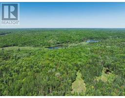 0 BRADY LAKE ROAD - 12