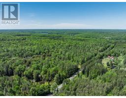 0 BRADY LAKE ROAD - 19