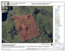 0 BRADY LAKE ROAD - 21
