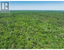 0 BRADY LAKE ROAD - 28