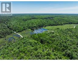 0 BRADY LAKE ROAD - 29