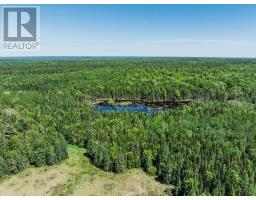 0 BRADY LAKE ROAD - 9