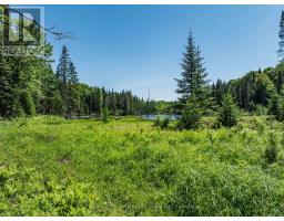 0 KUSHOG LAKE ROAD - 7