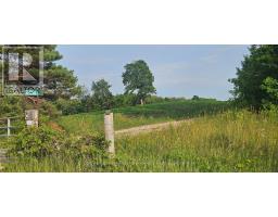521268 CONCESSION 12 N - 3