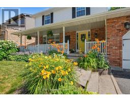 364 KRIBS STREET - 3
