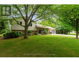 33768 MAPLE COURT - 3