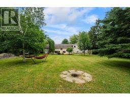 33768 MAPLE COURT - 38