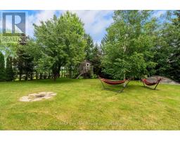 33768 MAPLE COURT - 39