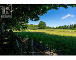 404683 GREY ROAD 4 - 37