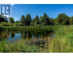 404683 GREY ROAD 4 - 38