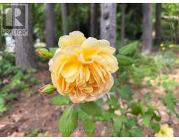 117 TAMARACK DRIVE - 47