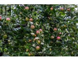 350063 BAYSHORE ROAD - 48