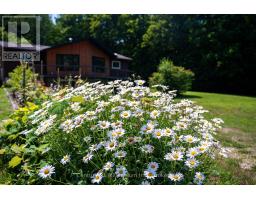 414616 BASELINE ROAD - 10