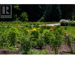 414616 BASELINE ROAD - 12