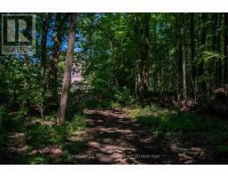 414616 BASELINE ROAD - 13