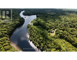 1125 FAIRY FALLS ROAD - 2