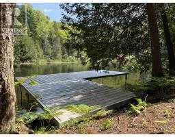 1125 FAIRY FALLS ROAD - 6