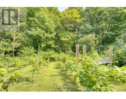 76 EVERETT ROAD - 34