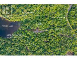 1382 ECHO RIDGE ROAD - 5