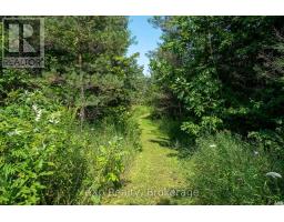 174745 MULOCK ROAD - 38