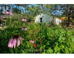 174745 MULOCK ROAD - 6