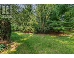 85 WHITE BARK WAY - 38