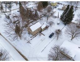293 DRUMMOND STREET - 32