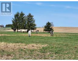 80580 BASELINE ROAD - 8