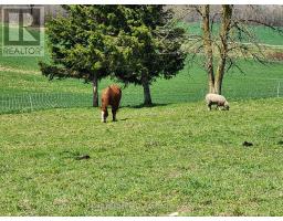80580 BASELINE ROAD - 9