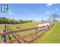 4337 SIDEROAD 10 SIDE ROAD S - 48