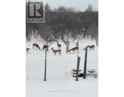 82675 PERTH ROAD 180 ROAD - 34