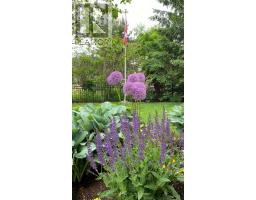 610 ROCK POINT CRESCENT - 43