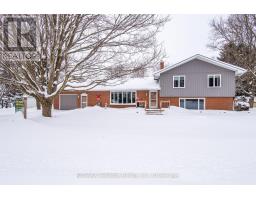 244 ELIZABETH STREET - 1