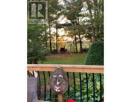 244 ELIZABETH STREET - 15