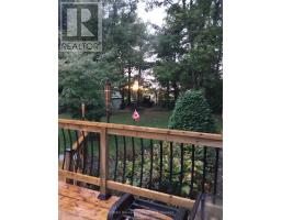 244 ELIZABETH STREET - 16