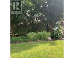 244 ELIZABETH STREET - 17