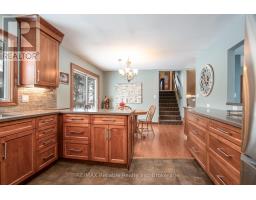 244 ELIZABETH STREET - 26