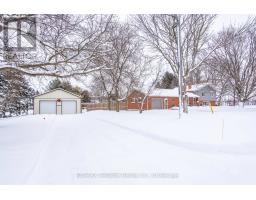 244 ELIZABETH STREET - 3