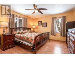 244 ELIZABETH STREET - 36