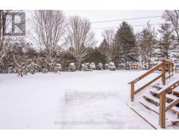 244 ELIZABETH STREET - 5