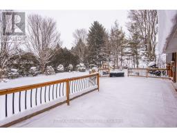 244 ELIZABETH STREET - 6