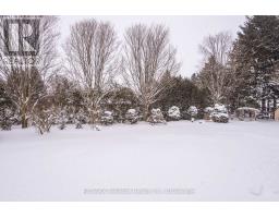 244 ELIZABETH STREET - 8