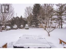 244 ELIZABETH STREET - 9