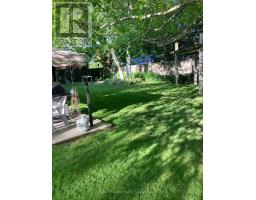 293 DRUMMOND STREET - 38