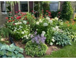 81457 NORTH LINE ROAD - 36