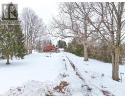 221 QUEEN STREET - 5