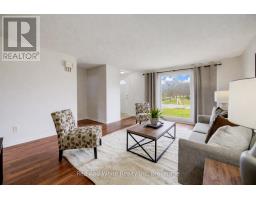 43 FERGUSON AVENUE - 4